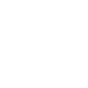 bwz-logo-white-square